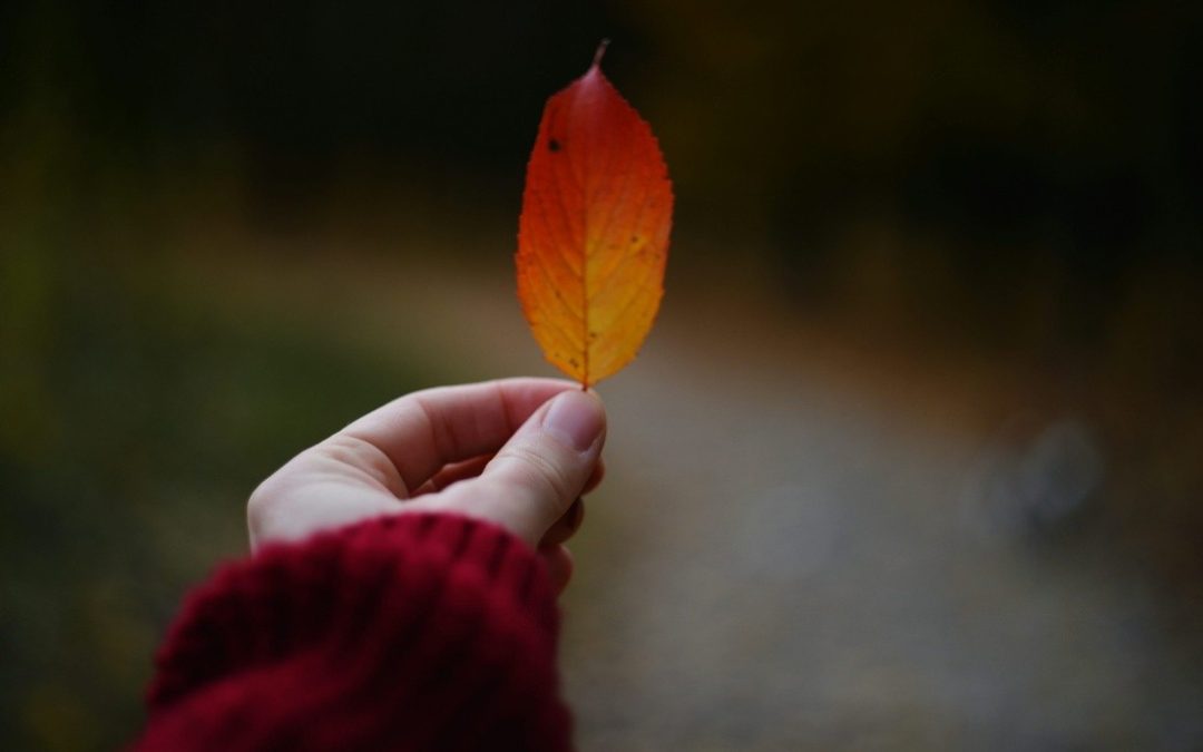How to Thrive Through Personal Change